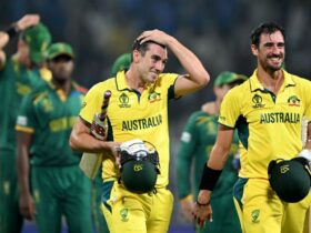 Australia Crushes South Africa: Cricket World Cup Final Awaits!